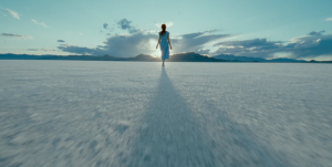 tree_of_life_1-650x329